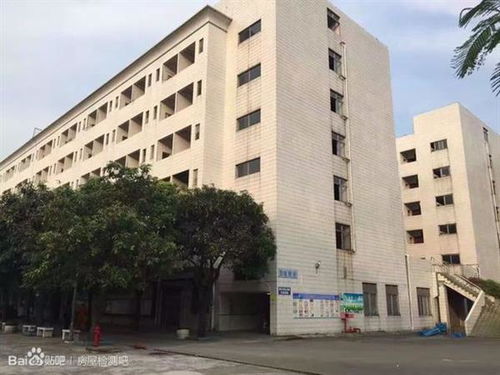 機房房屋承重檢測鑒定單位需要了解承重力